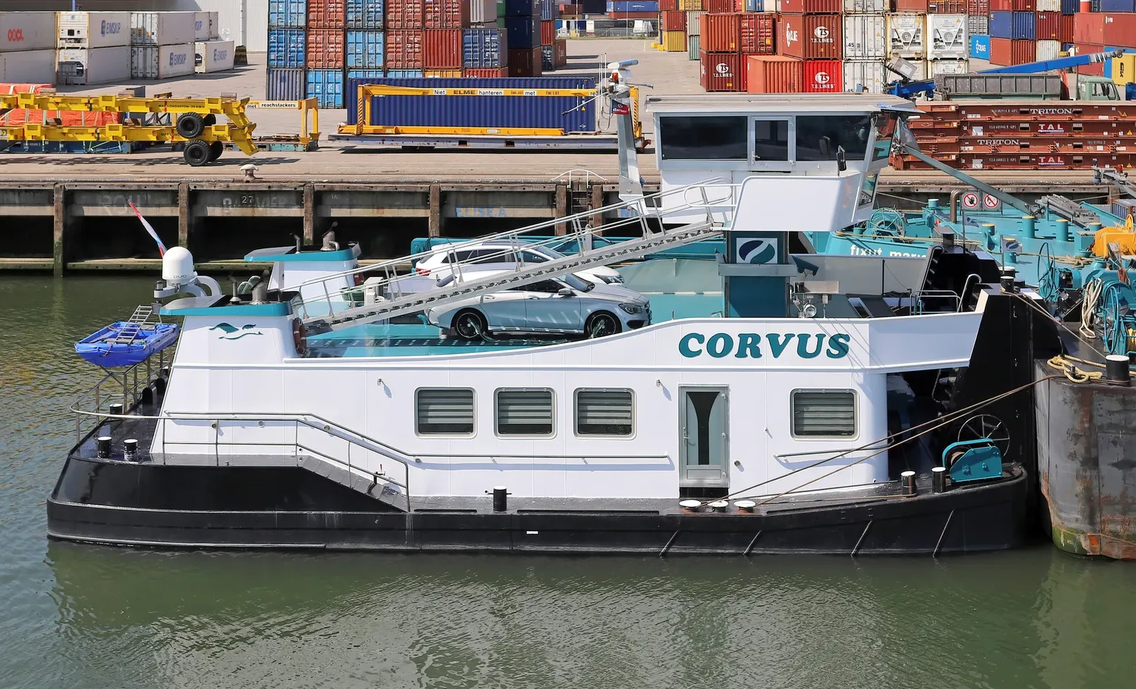 Corvus side